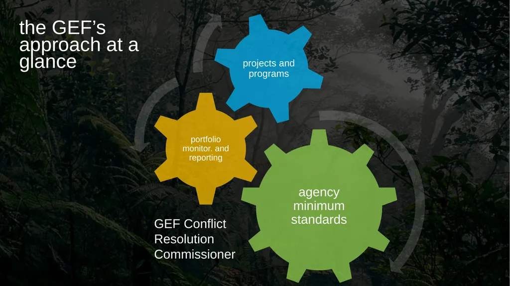 Environmental and Social Safeguards Roland - slide 4 of 8