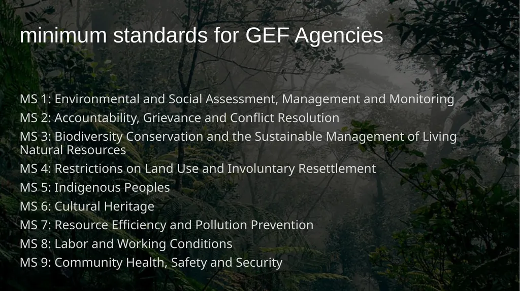 Environmental and Social Safeguards Roland - slide 5 of 8