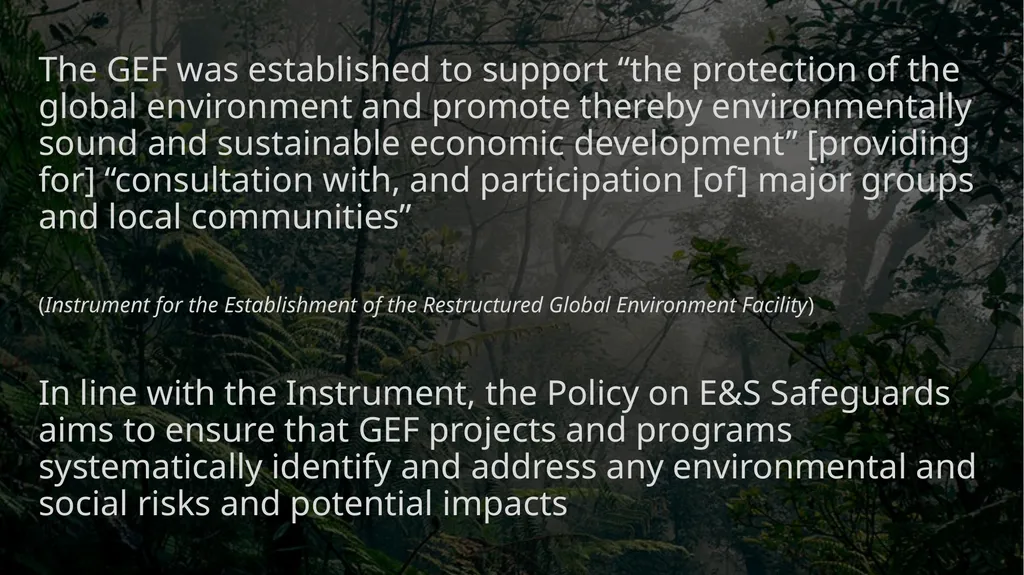 Environmental and Social Safeguards Roland - slide 2 of 8
