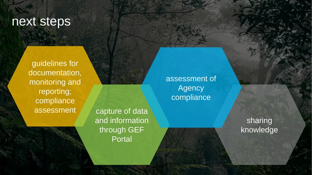 Environmental and Social Safeguards Roland - slide 7 of 8