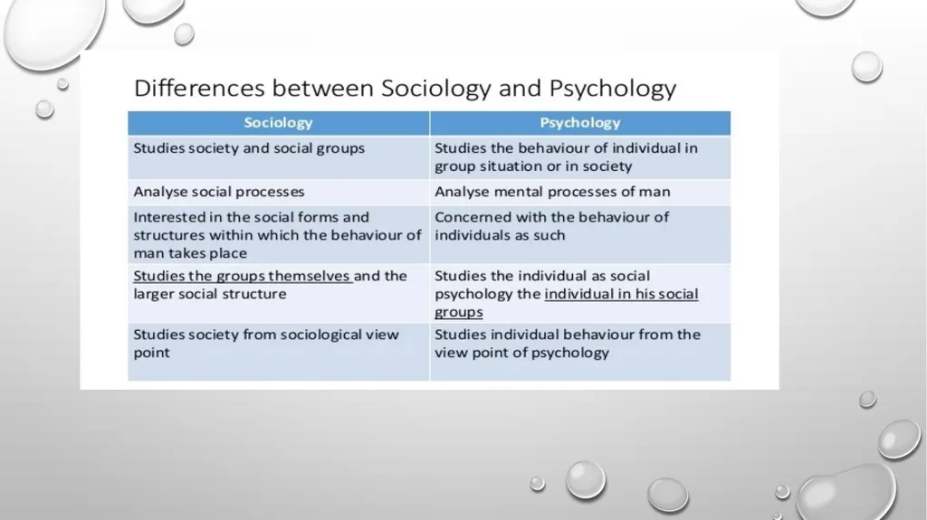 SCOPE AND SUBJECT MATTER OF SCIOLOGY SCOPE OF - slide 17 of 20