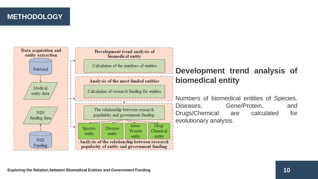 Exploring the Relation between Biomedical Entities - slide 10 of 22