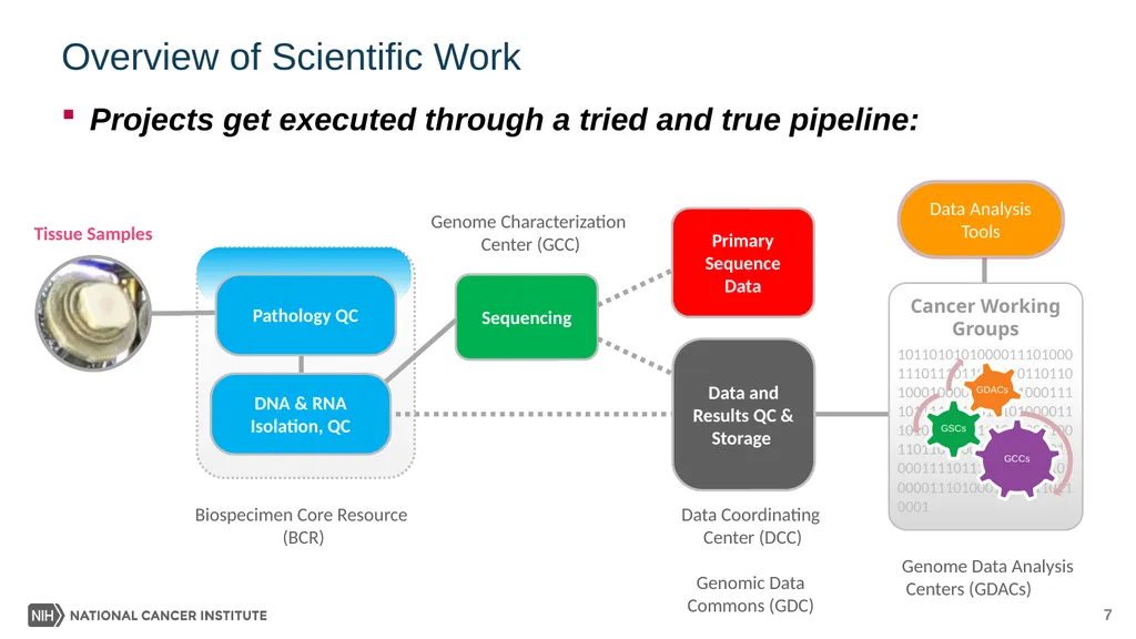Presented By: Jean C. Zenklusen, PhD October 1, - slide 7 of 14