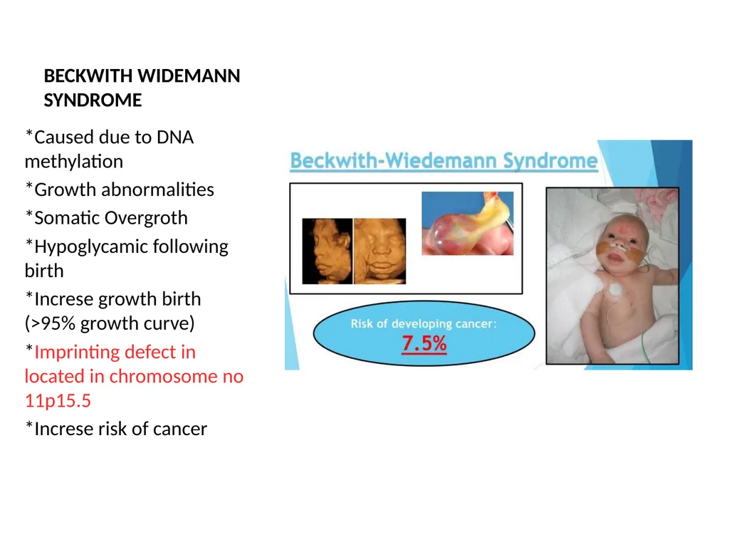 GENOMIC IMPRINTING By- Shubhani singh thakur - slide 10 of 14