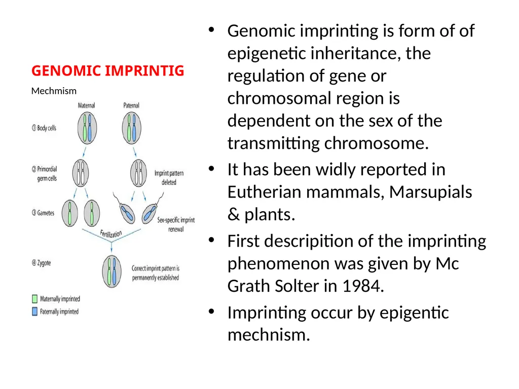 GENOMIC IMPRINTING By- Shubhani singh thakur - slide 2 of 14