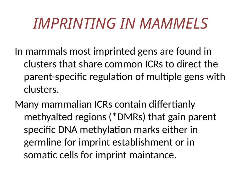 GENOMIC IMPRINTING By- Shubhani singh thakur - slide 5 of 14
