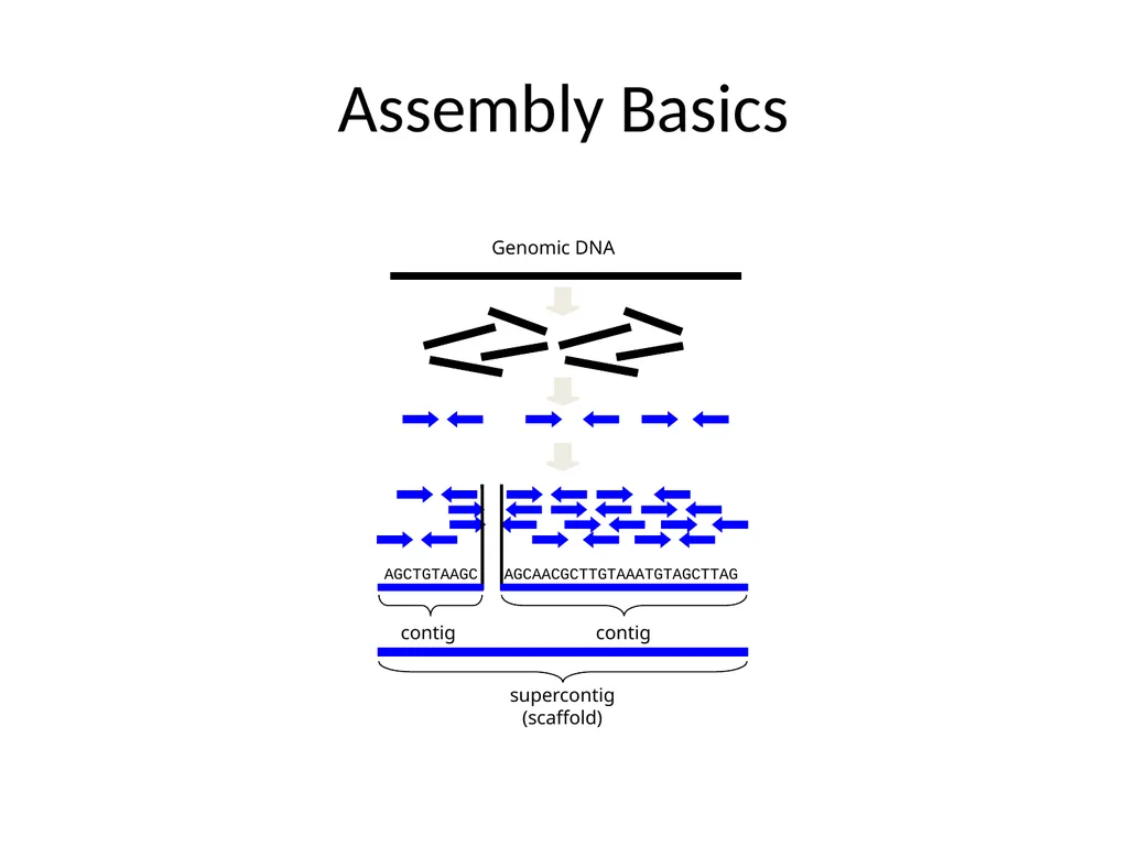Bacterial Comparative Genomics Christopher - slide 6 of 41