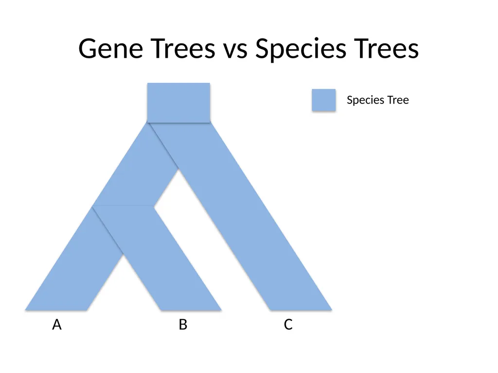 Bacterial Comparative Genomics Christopher - slide 13 of 41