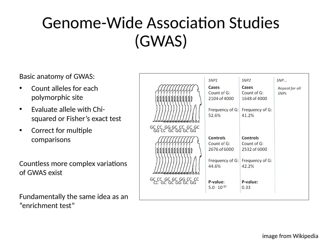 Bacterial Comparative Genomics Christopher - slide 34 of 41