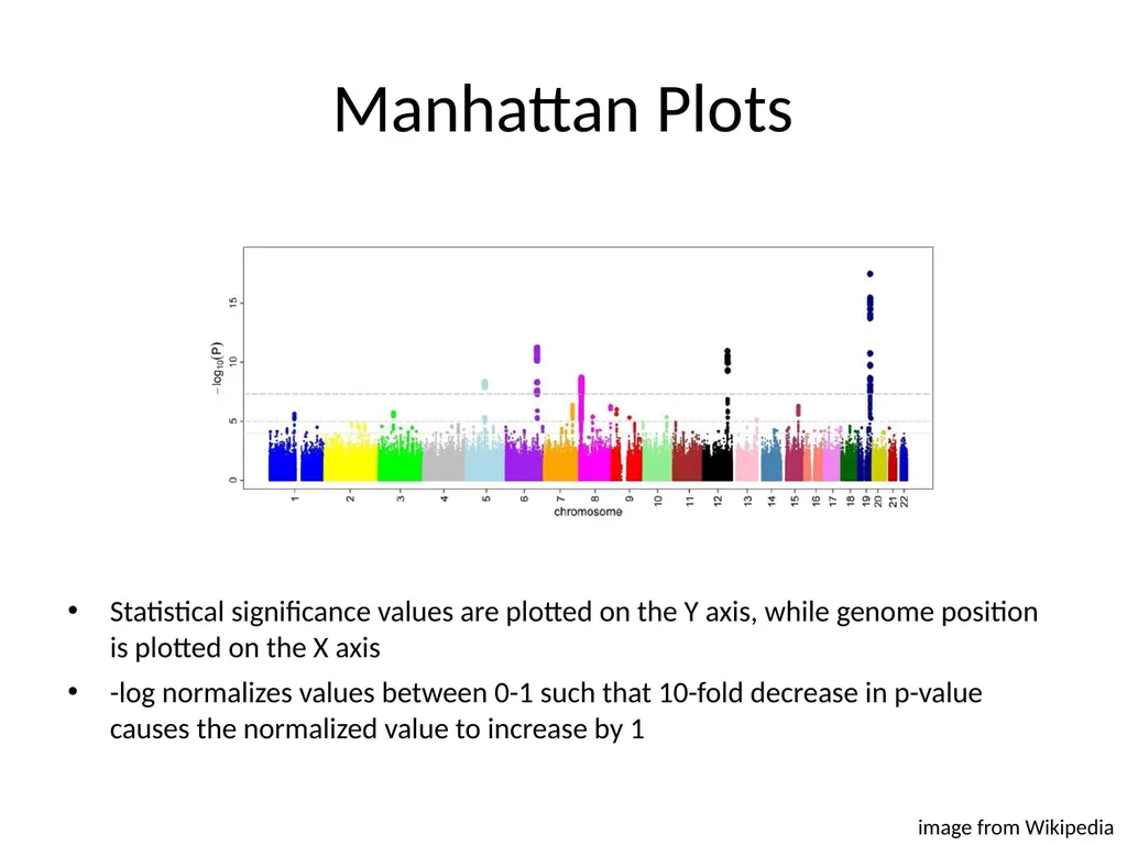 Bacterial Comparative Genomics Christopher - slide 37 of 41