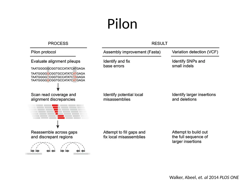 Bacterial Comparative Genomics Christopher - slide 31 of 41