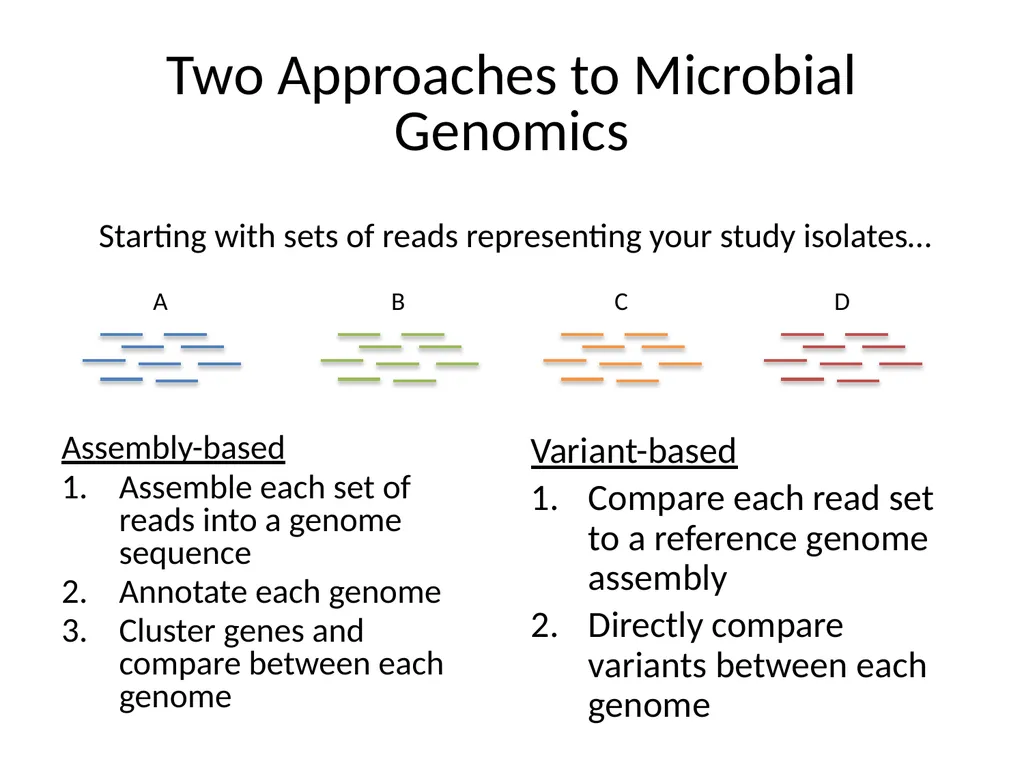 Bacterial Comparative Genomics Christopher - slide 4 of 41