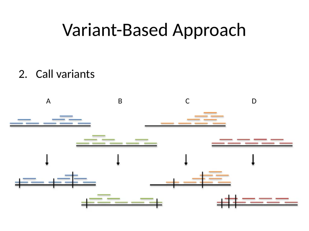 Bacterial Comparative Genomics Christopher - slide 28 of 41