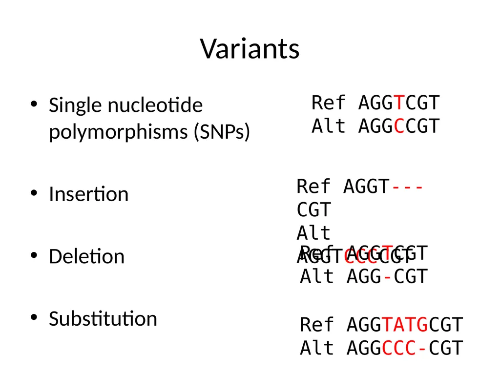Bacterial Comparative Genomics Christopher - slide 29 of 41