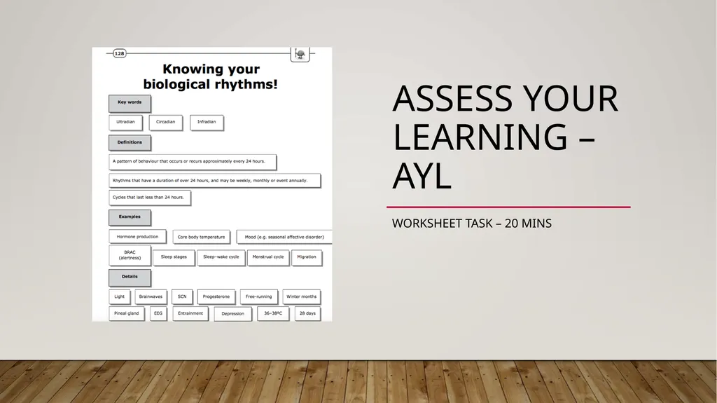 LEGO BUILD: Express your understanding of - slide 7 of 14