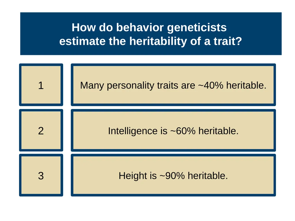 Unit 3 Biological Bases of Behavior Module 14 - slide 17 of 32