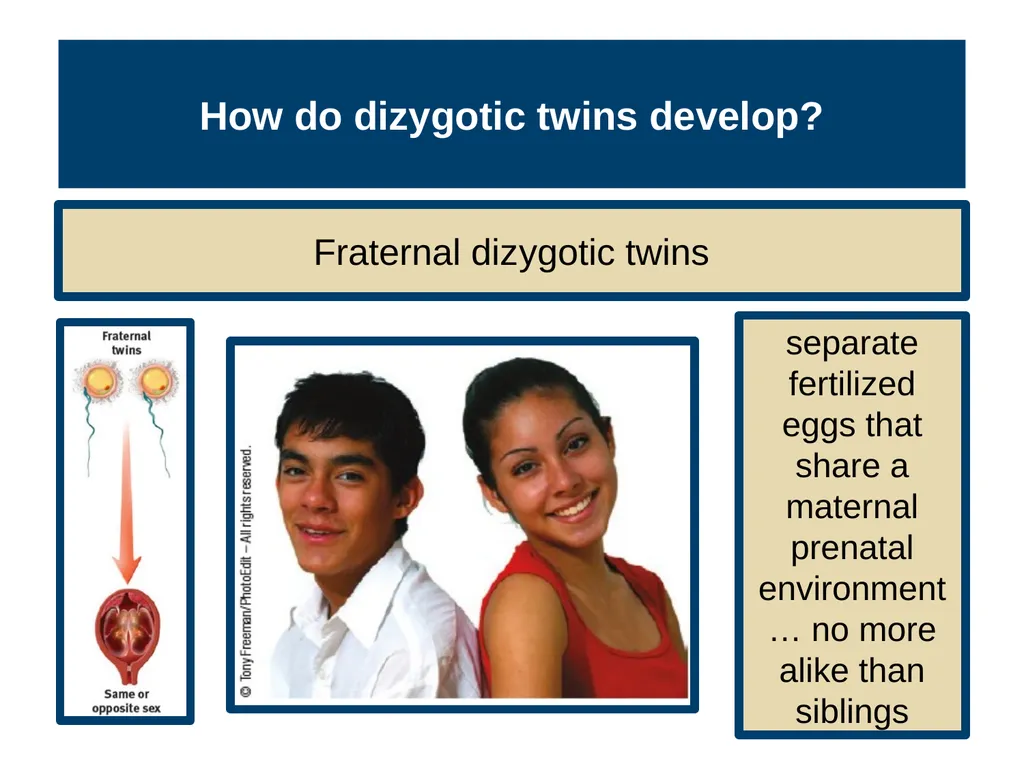 Unit 3 Biological Bases of Behavior Module 14 - slide 10 of 32