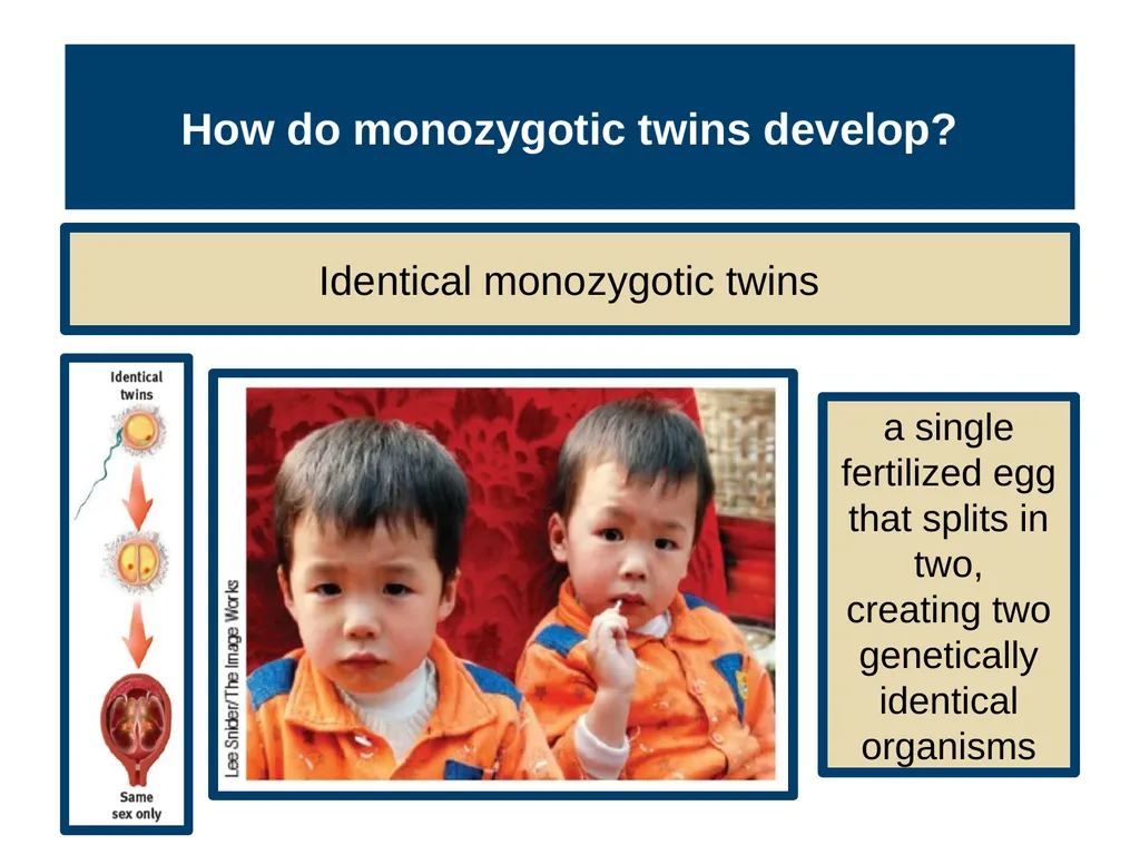 Unit 3 Biological Bases of Behavior Module 14 - slide 9 of 32
