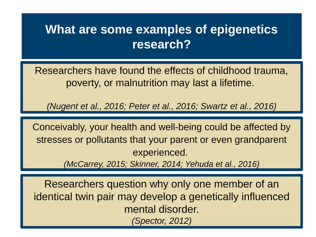 Unit 3 Biological Bases of Behavior Module 14 - slide 26 of 32