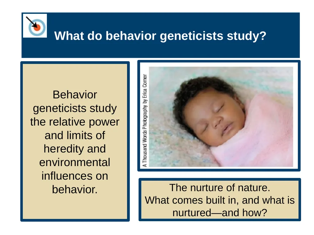 Unit 3 Biological Bases of Behavior Module 14 - slide 4 of 32