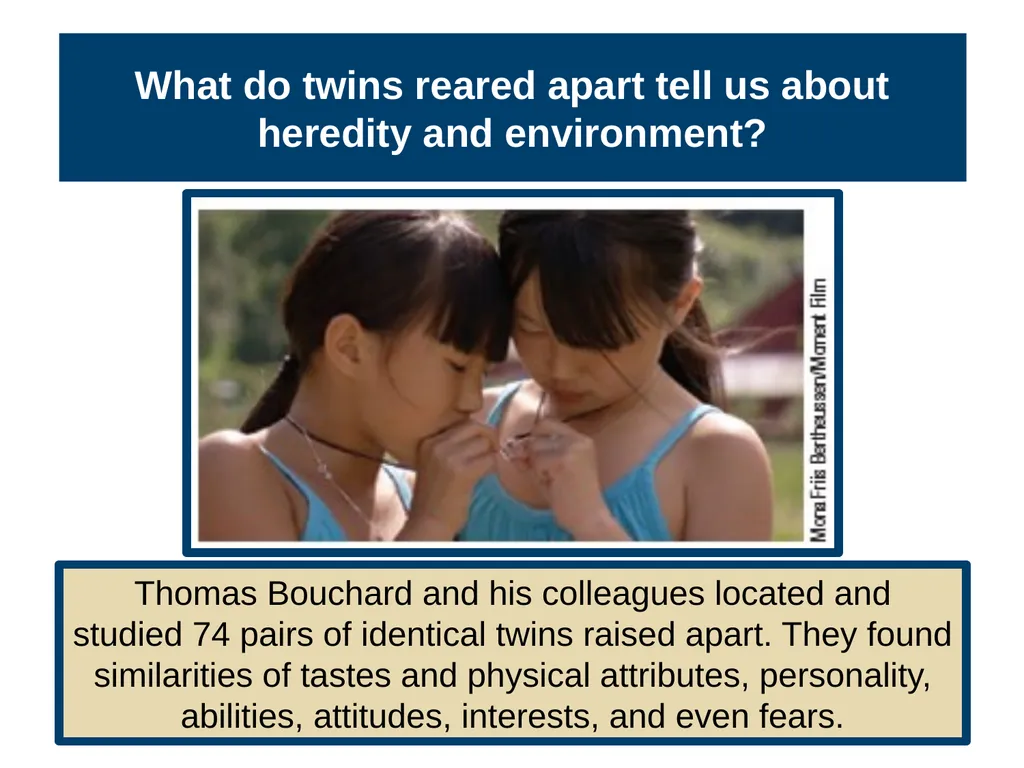 Unit 3 Biological Bases of Behavior Module 14 - slide 12 of 32