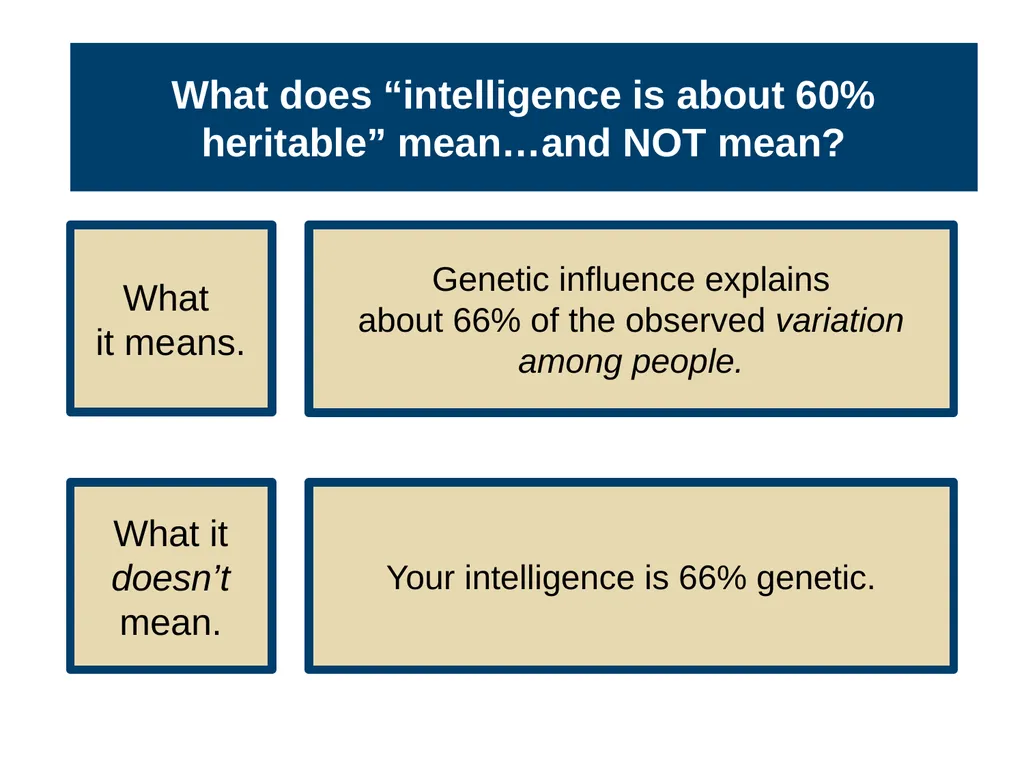 Unit 3 Biological Bases of Behavior Module 14 - slide 18 of 32