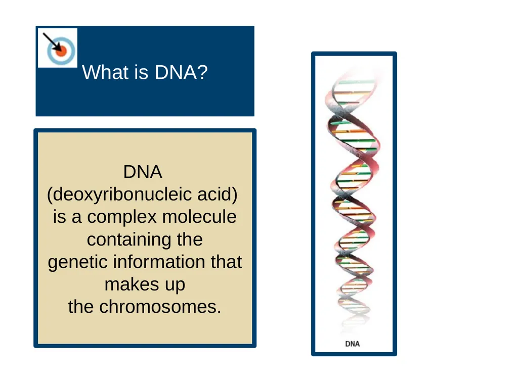 Unit 3 Biological Bases of Behavior Module 14 - slide 6 of 32