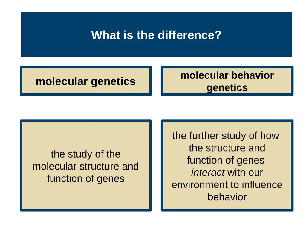 Unit 3 Biological Bases of Behavior Module 14 - slide 23 of 32