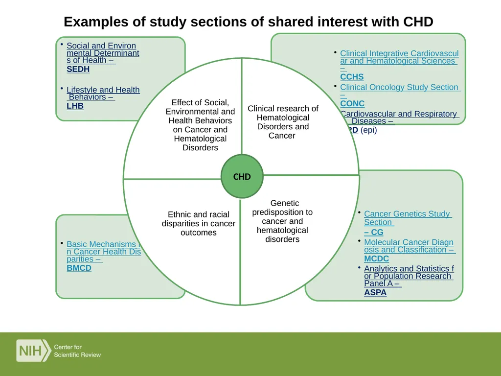 The NIH Peer Review Process Denise Wiesch, Ph.D., - slide 12 of 18