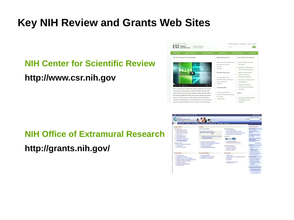 The NIH Peer Review Process Denise Wiesch, Ph.D., - slide 18 of 18