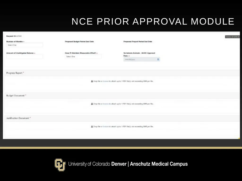 Postaward Updates May 19th 2025 NIH Update for NCE - slide 5 of 14