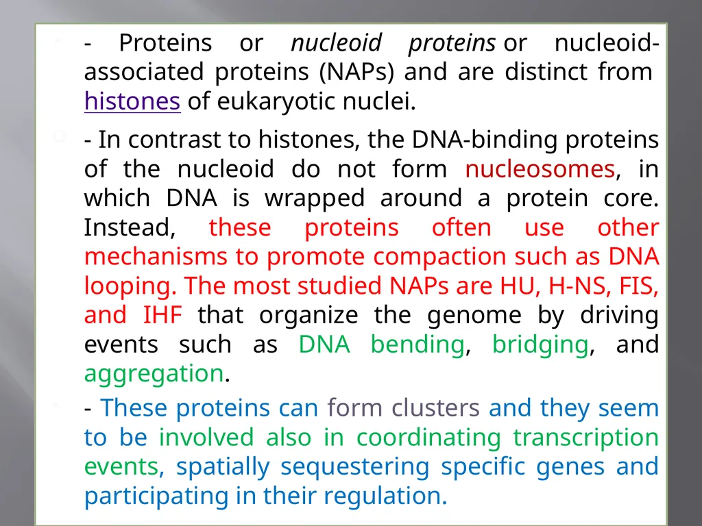 3th lecture in molecular biology Prokaryotic and - slide 5 of 20