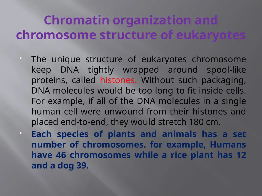 3th lecture in molecular biology Prokaryotic and - slide 11 of 20