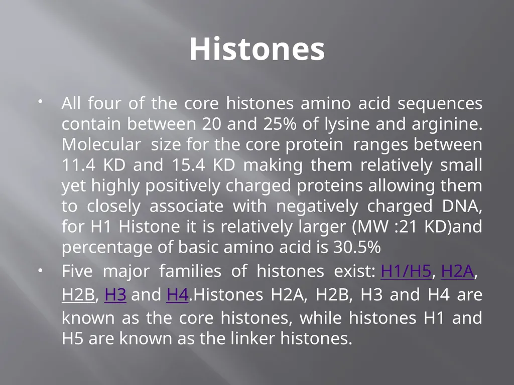 3th lecture in molecular biology Prokaryotic and - slide 16 of 20