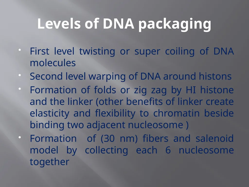 3th lecture in molecular biology Prokaryotic and - slide 18 of 20