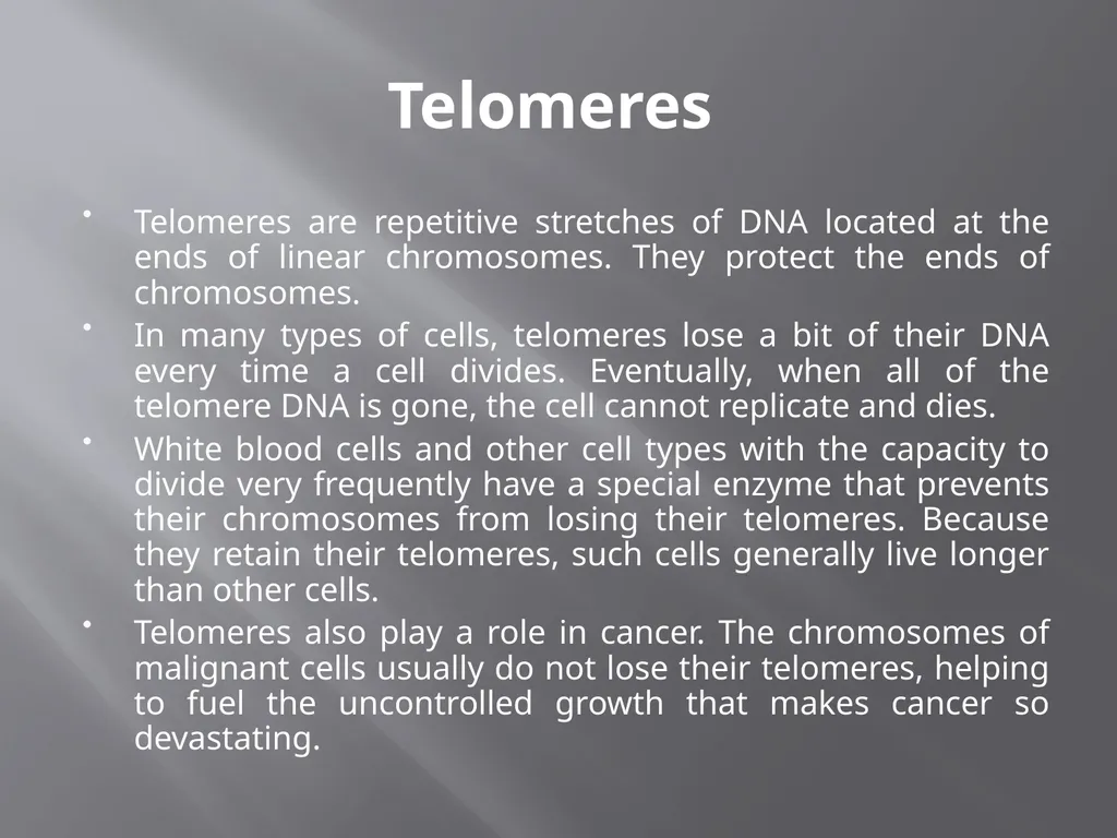 3th lecture in molecular biology Prokaryotic and - slide 20 of 20