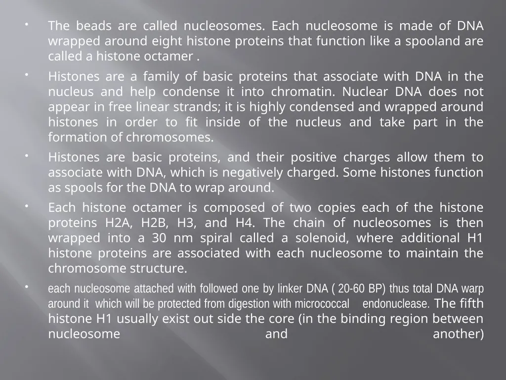3th lecture in molecular biology Prokaryotic and - slide 13 of 20
