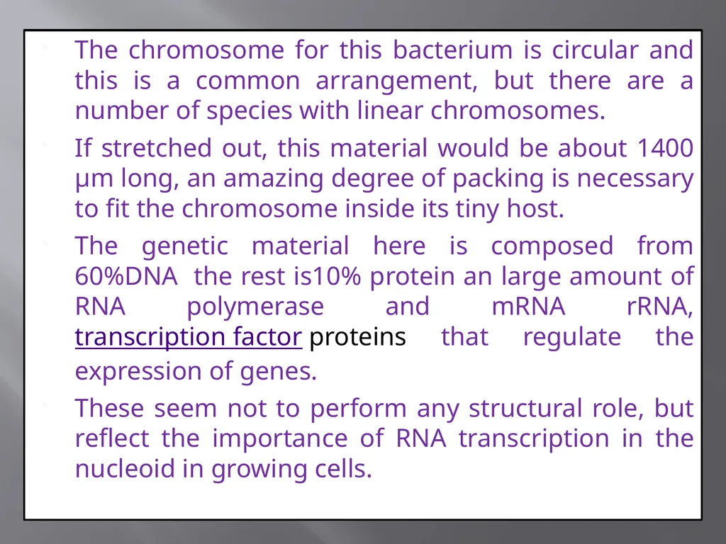 3th lecture in molecular biology Prokaryotic and - slide 3 of 20