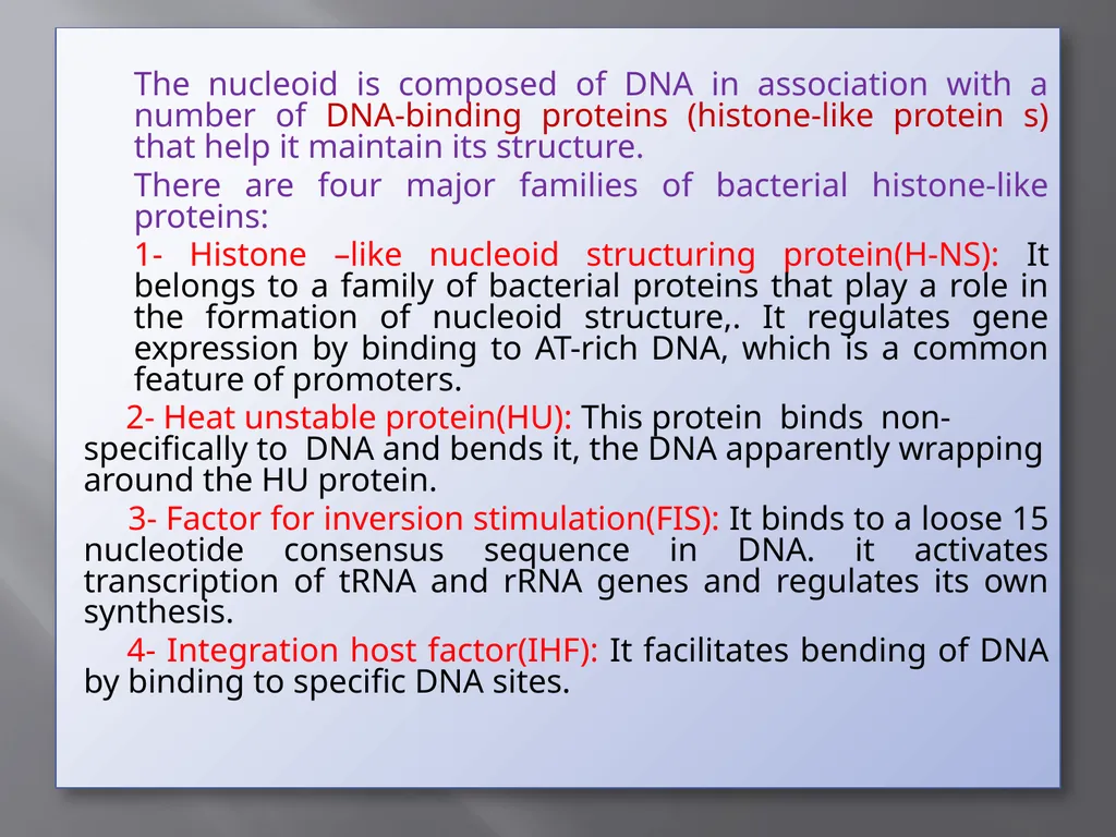 3th lecture in molecular biology Prokaryotic and - slide 4 of 20