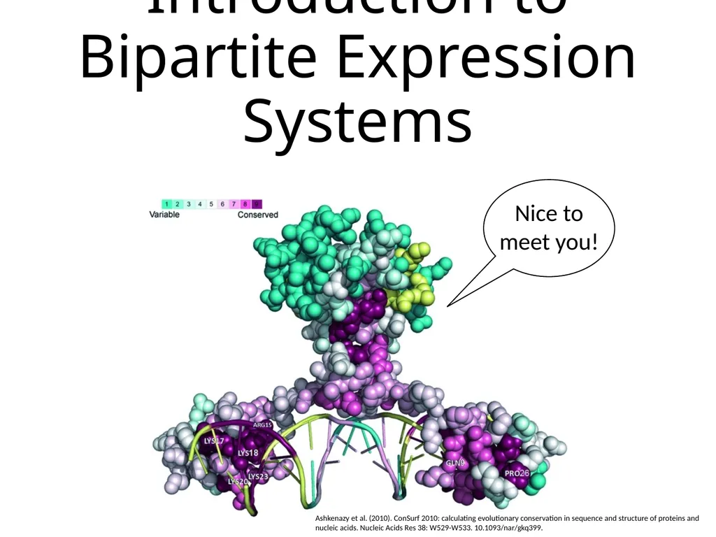 Introduction to Bipartite Expression Systems Nice - slide 1 of 10