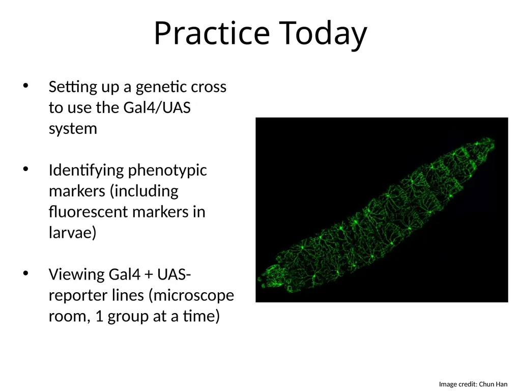 Introduction to Bipartite Expression Systems Nice - slide 10 of 10