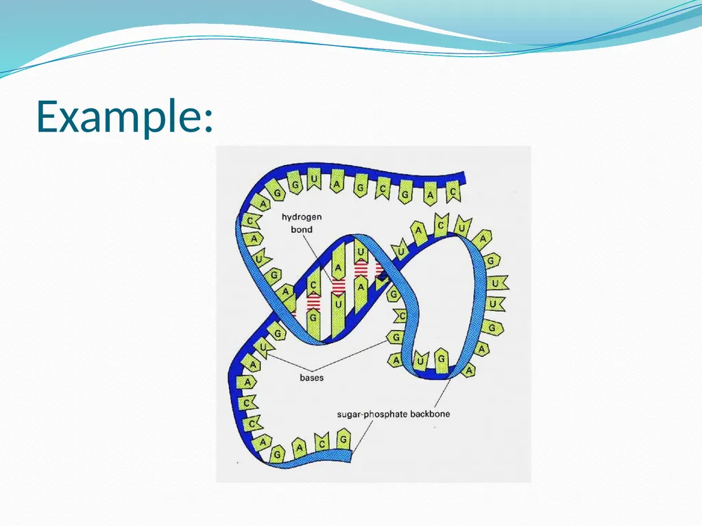 Computational Biology Prepared By: Syed - slide 18 of 21