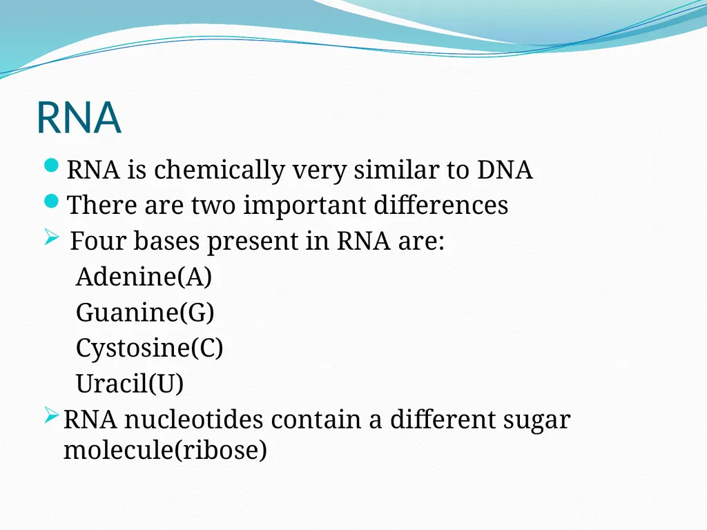 Computational Biology Prepared By: Syed - slide 8 of 21