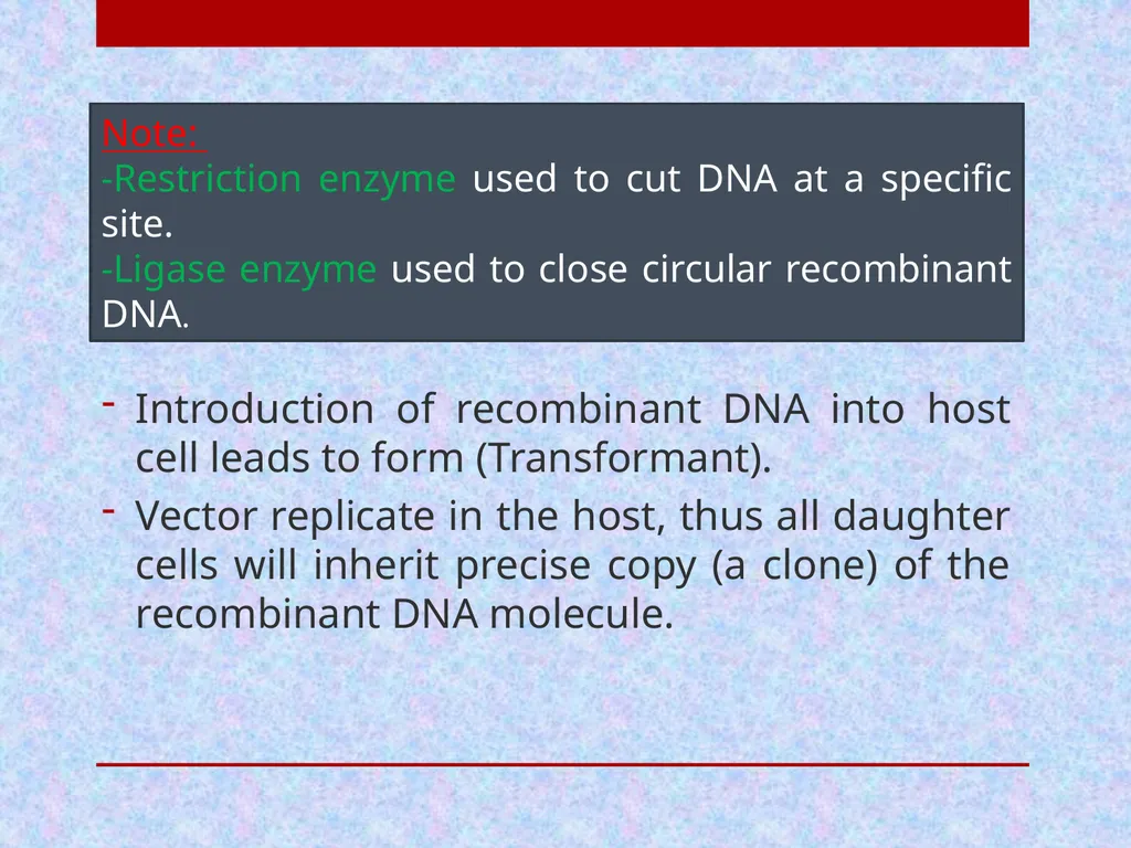 Pharmaceutical Biotechnology Introduction Dr. - slide 19 of 23