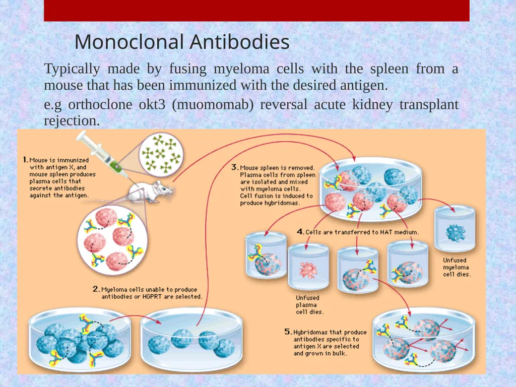 Pharmaceutical Biotechnology Introduction Dr. - slide 20 of 23