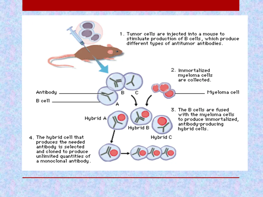 Pharmaceutical Biotechnology Introduction Dr. - slide 22 of 23