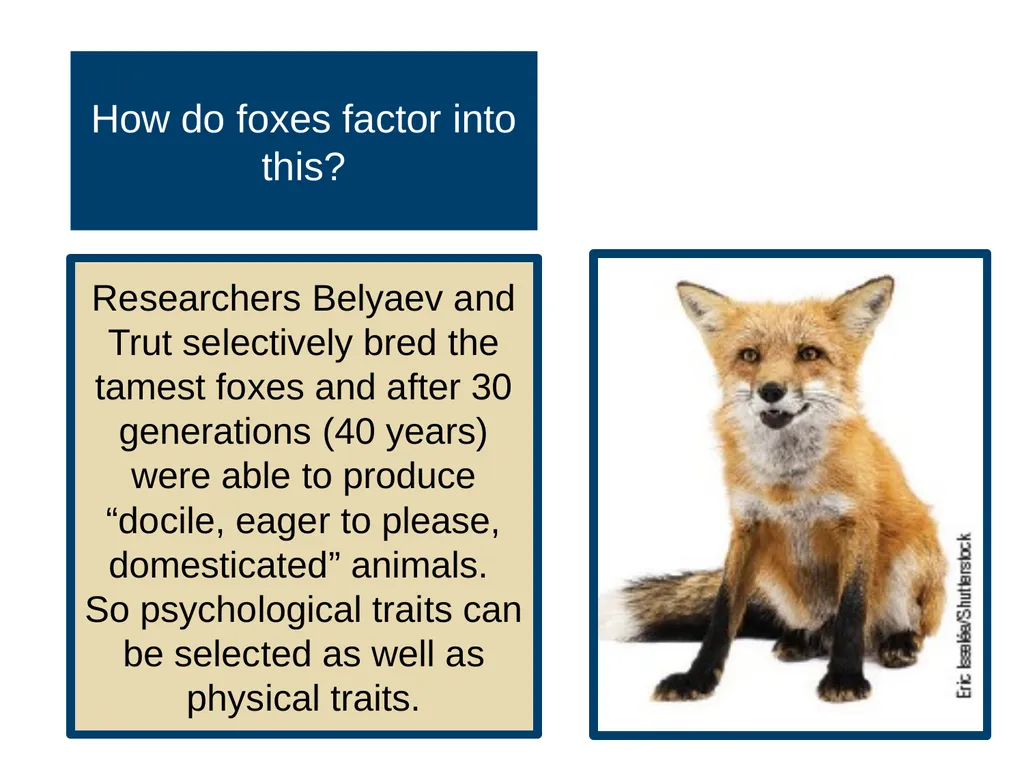 Unit 3 Biological Bases of Behavior Module 15 - slide 7 of 19