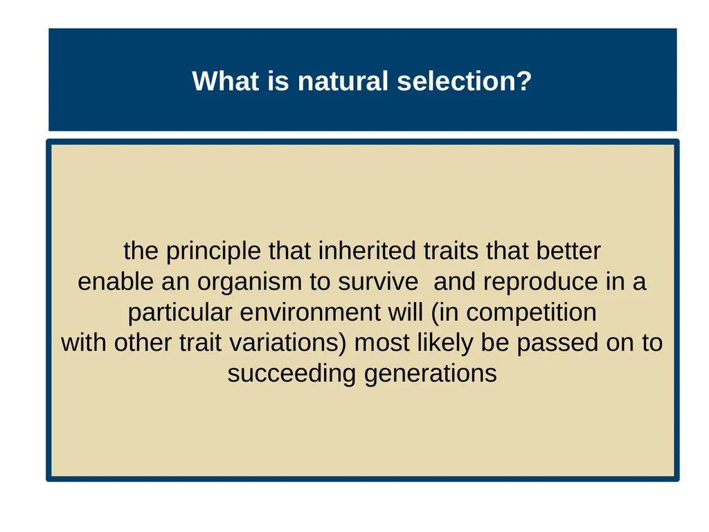 Unit 3 Biological Bases of Behavior Module 15 - slide 4 of 19