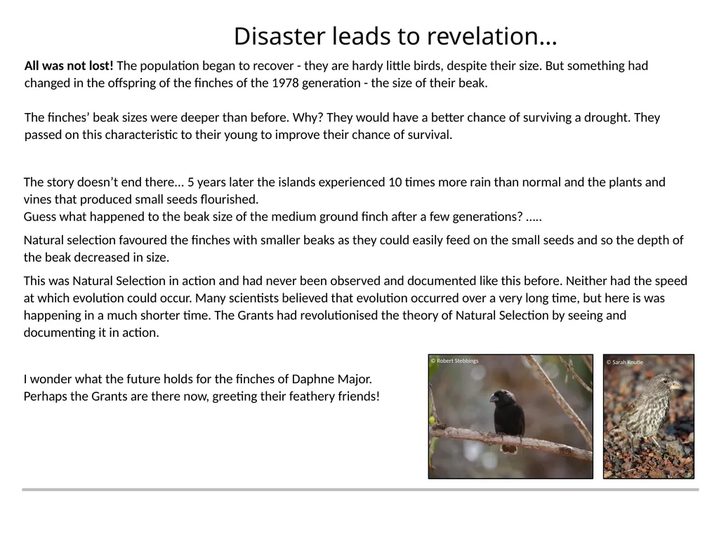 A RESOURCE BROUGHT TO YOU BY THE GALAPAGOS - slide 11 of 12