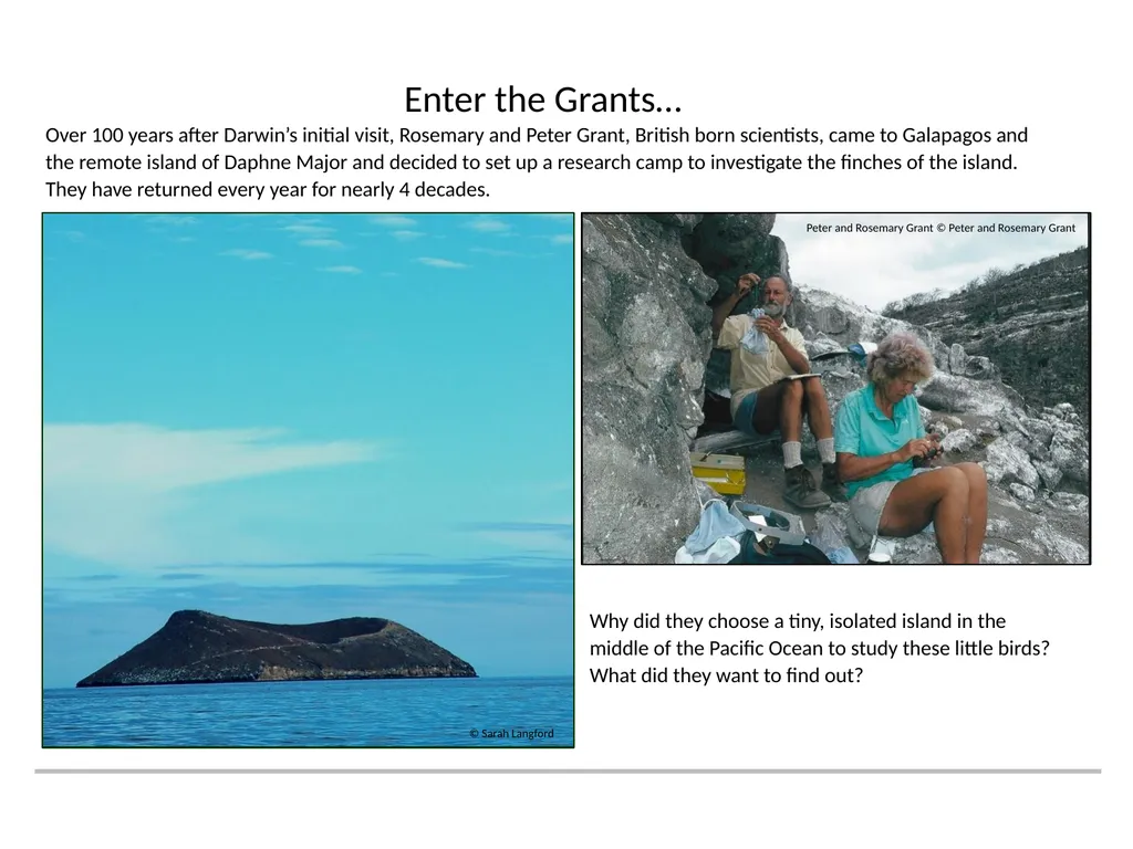 A RESOURCE BROUGHT TO YOU BY THE GALAPAGOS - slide 4 of 12